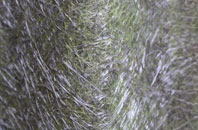 Netley Hill fibreglass roof work